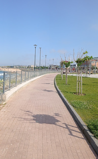 Sahil Yolu